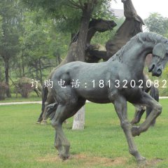 公園馬雕塑，銅雕馬